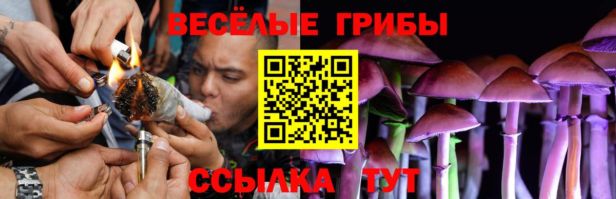 Галлюциногенные грибы прущие грибы Усинск